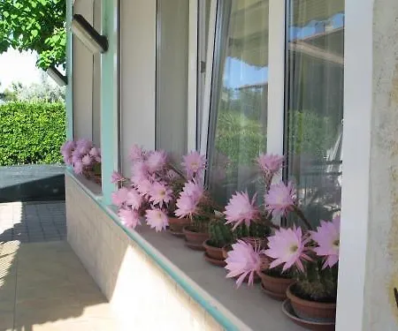 Bahamas 3* Lido Di Savio