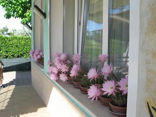 Bahamas 3* Lido Di Savio